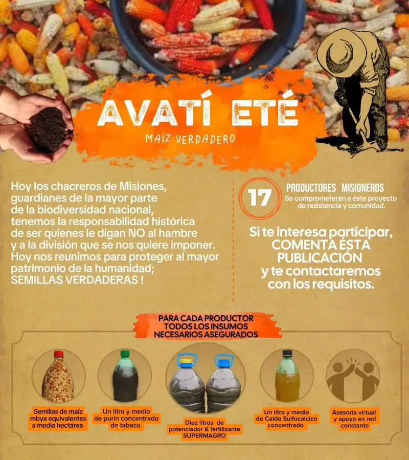 Presentación original de Avatí Eté y los insumos previstos para 17 productores
